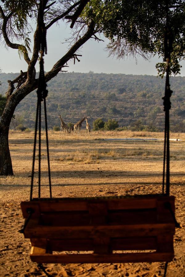 Zebras Crossing Villa Modimolle Dış mekan fotoğraf